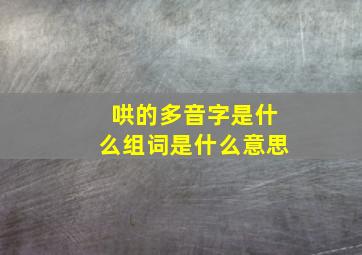 哄的多音字是什么组词是什么意思