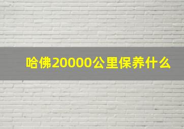 哈佛20000公里保养什么