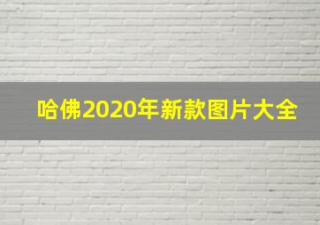 哈佛2020年新款图片大全