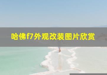 哈佛f7外观改装图片欣赏