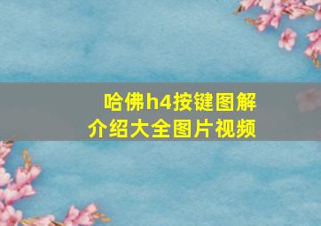 哈佛h4按键图解介绍大全图片视频