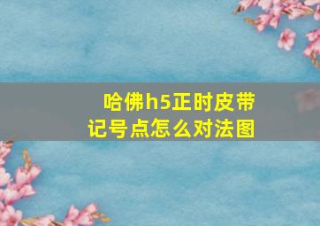 哈佛h5正时皮带记号点怎么对法图