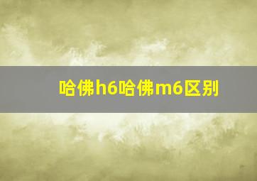 哈佛h6哈佛m6区别