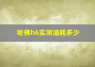 哈佛h6实测油耗多少