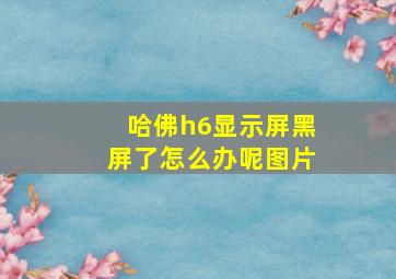 哈佛h6显示屏黑屏了怎么办呢图片