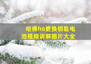 哈佛h6更换钥匙电池视频讲解图片大全