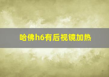 哈佛h6有后视镜加热