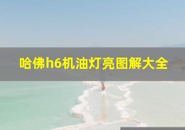 哈佛h6机油灯亮图解大全