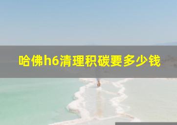 哈佛h6清理积碳要多少钱