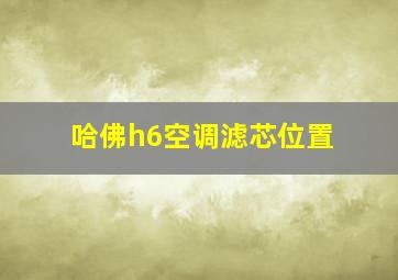 哈佛h6空调滤芯位置