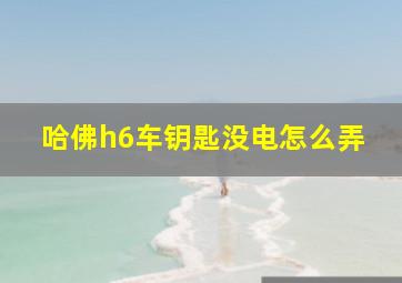 哈佛h6车钥匙没电怎么弄