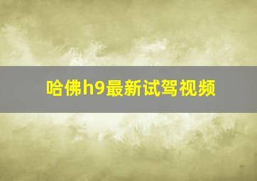 哈佛h9最新试驾视频