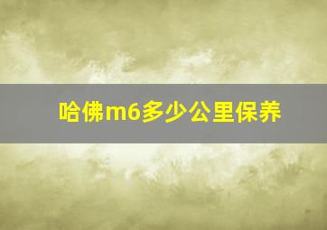 哈佛m6多少公里保养