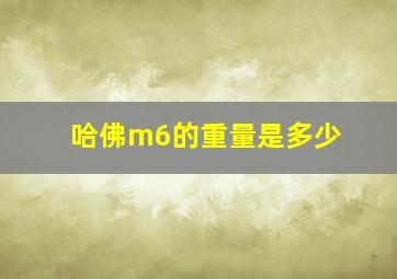 哈佛m6的重量是多少