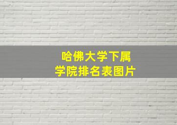 哈佛大学下属学院排名表图片