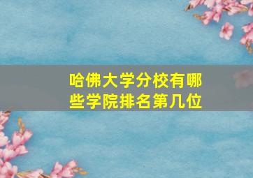 哈佛大学分校有哪些学院排名第几位