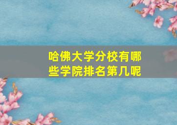 哈佛大学分校有哪些学院排名第几呢