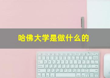 哈佛大学是做什么的