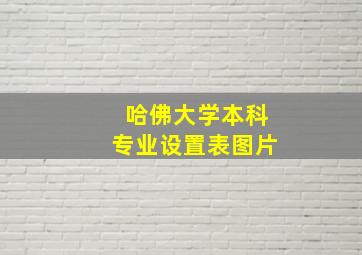 哈佛大学本科专业设置表图片