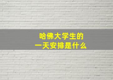 哈佛大学生的一天安排是什么