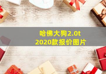 哈佛大狗2.0t2020款报价图片