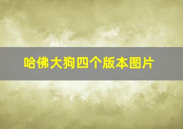 哈佛大狗四个版本图片