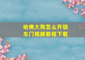 哈佛大狗怎么开锁车门视频教程下载