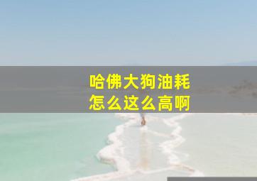 哈佛大狗油耗怎么这么高啊