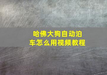 哈佛大狗自动泊车怎么用视频教程