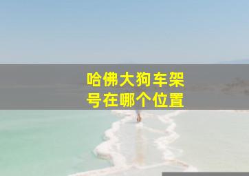 哈佛大狗车架号在哪个位置