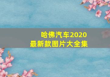 哈佛汽车2020最新款图片大全集