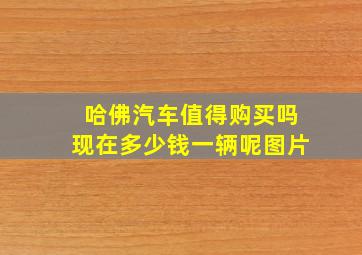 哈佛汽车值得购买吗现在多少钱一辆呢图片