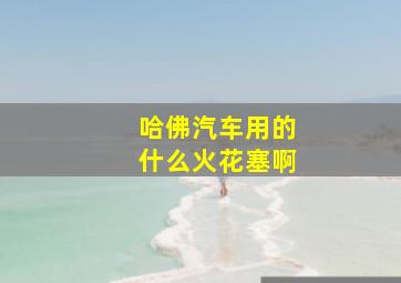 哈佛汽车用的什么火花塞啊