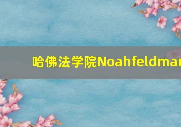 哈佛法学院Noahfeldman