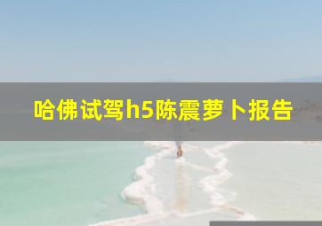 哈佛试驾h5陈震萝卜报告