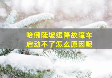 哈佛陡坡缓降故障车启动不了怎么原因呢