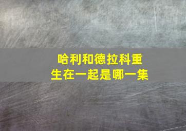 哈利和德拉科重生在一起是哪一集