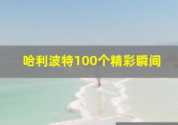 哈利波特100个精彩瞬间