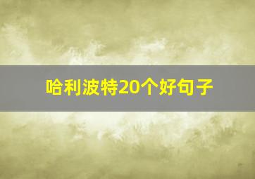 哈利波特20个好句子