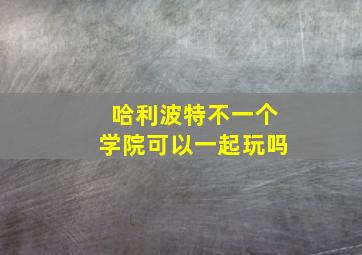 哈利波特不一个学院可以一起玩吗