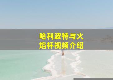 哈利波特与火焰杯视频介绍