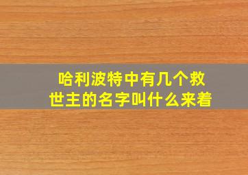 哈利波特中有几个救世主的名字叫什么来着