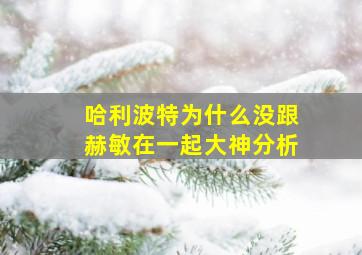 哈利波特为什么没跟赫敏在一起大神分析