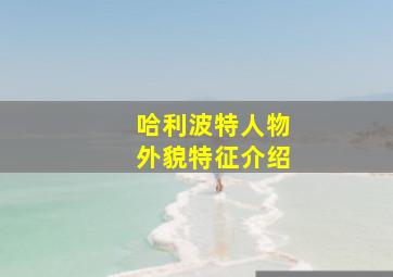 哈利波特人物外貌特征介绍