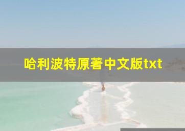 哈利波特原著中文版txt