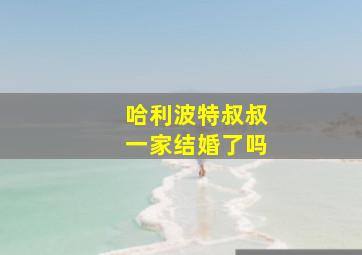 哈利波特叔叔一家结婚了吗