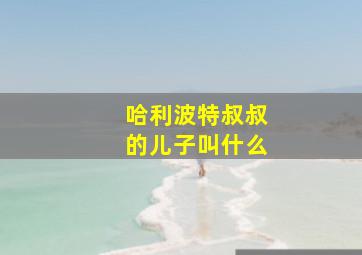 哈利波特叔叔的儿子叫什么