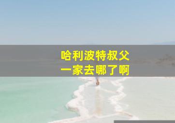 哈利波特叔父一家去哪了啊