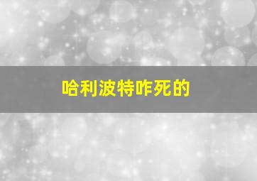 哈利波特咋死的