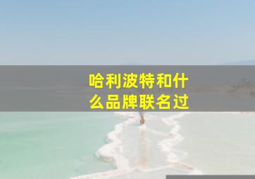 哈利波特和什么品牌联名过